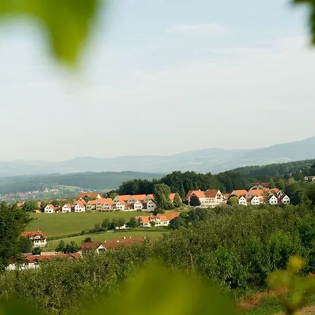 Ferienhaus Bad Waltersdorf Hotel 4*