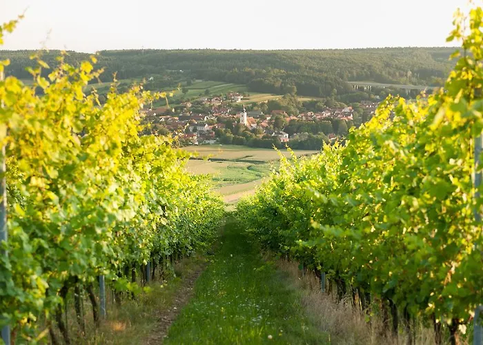 منتزه العطل Ferienhaus Bad Waltersdorf 4*